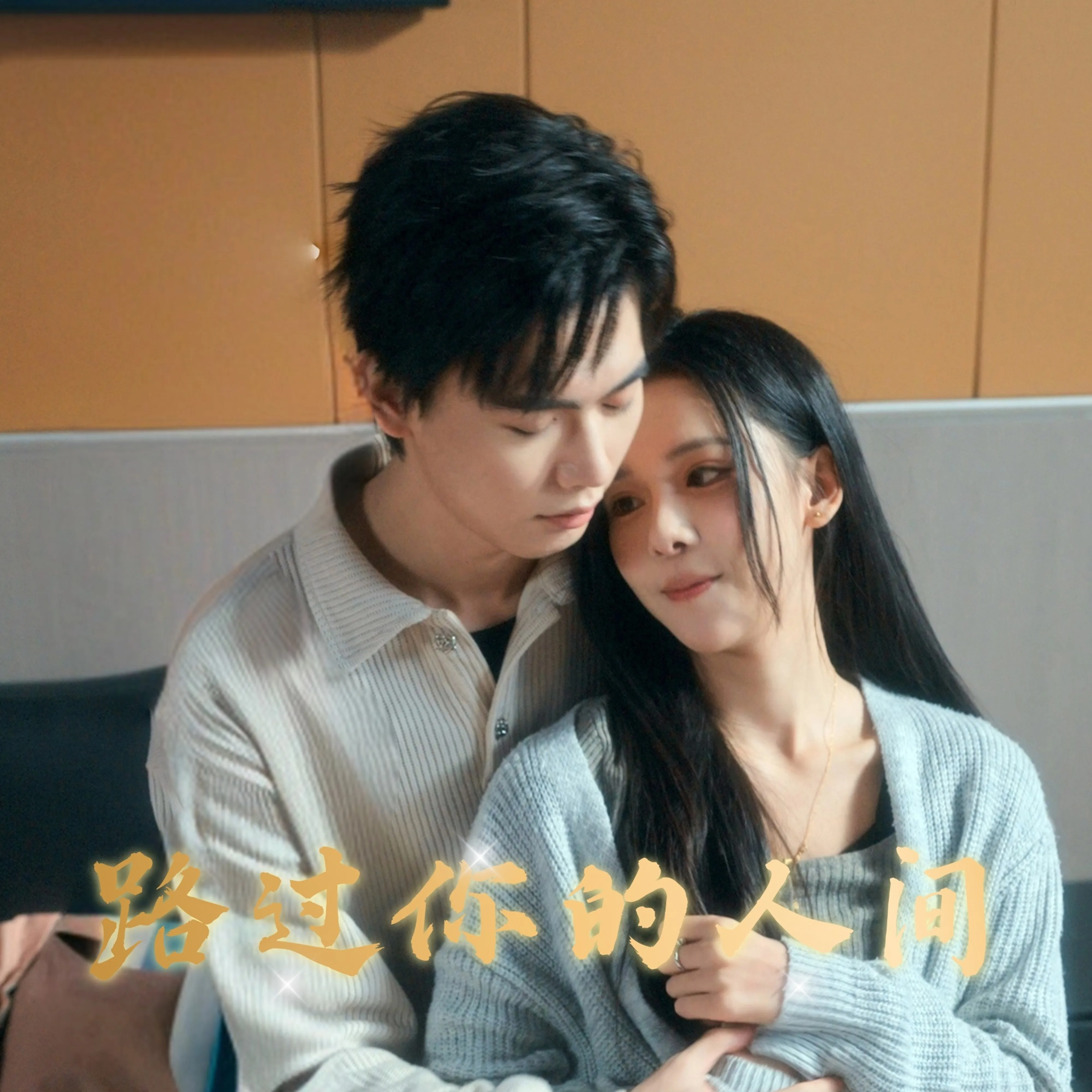 路过你的人间